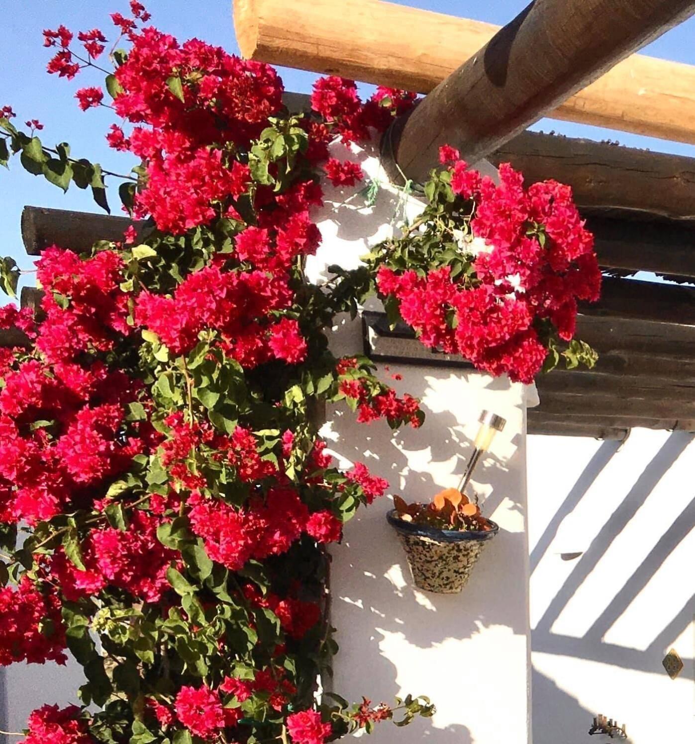 Villa Aurora Nijar Parque Natural Cabo Gata 外观 照片